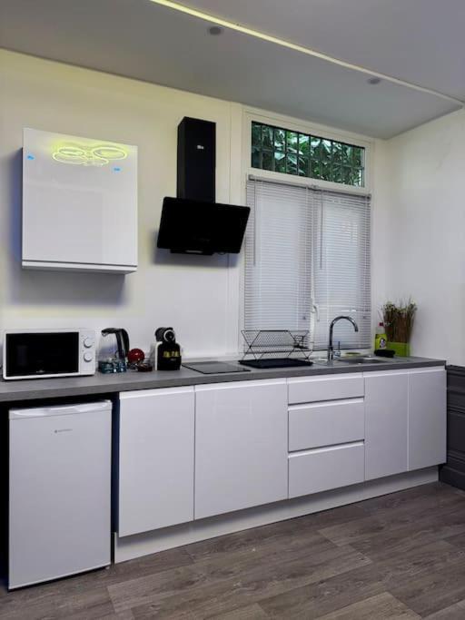 Le Vitton - Appartement Proche Gare Partdieu Villeurbanne Extérieur photo